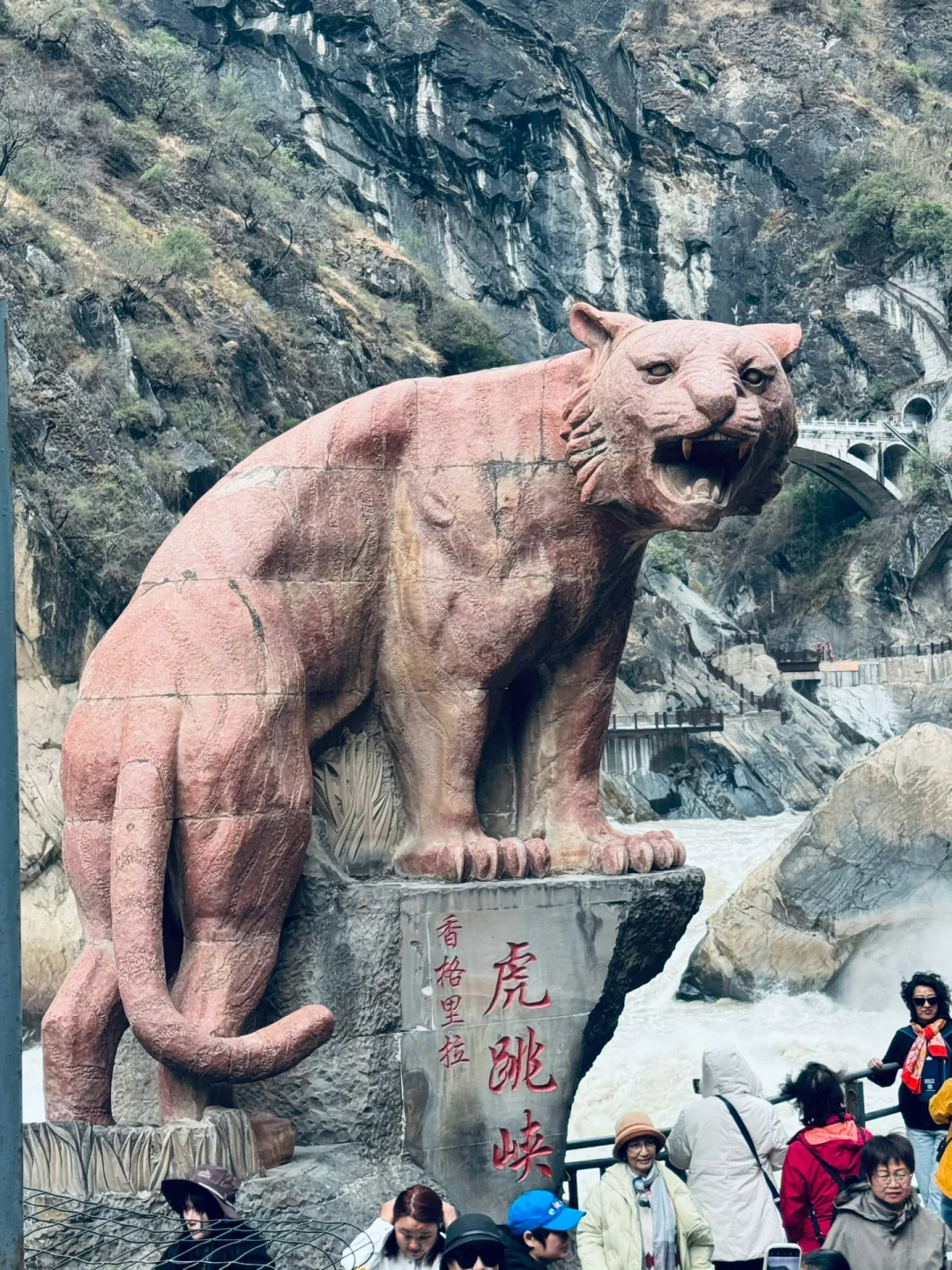 云南跟团已回，全是真实体验，给想去的避坑