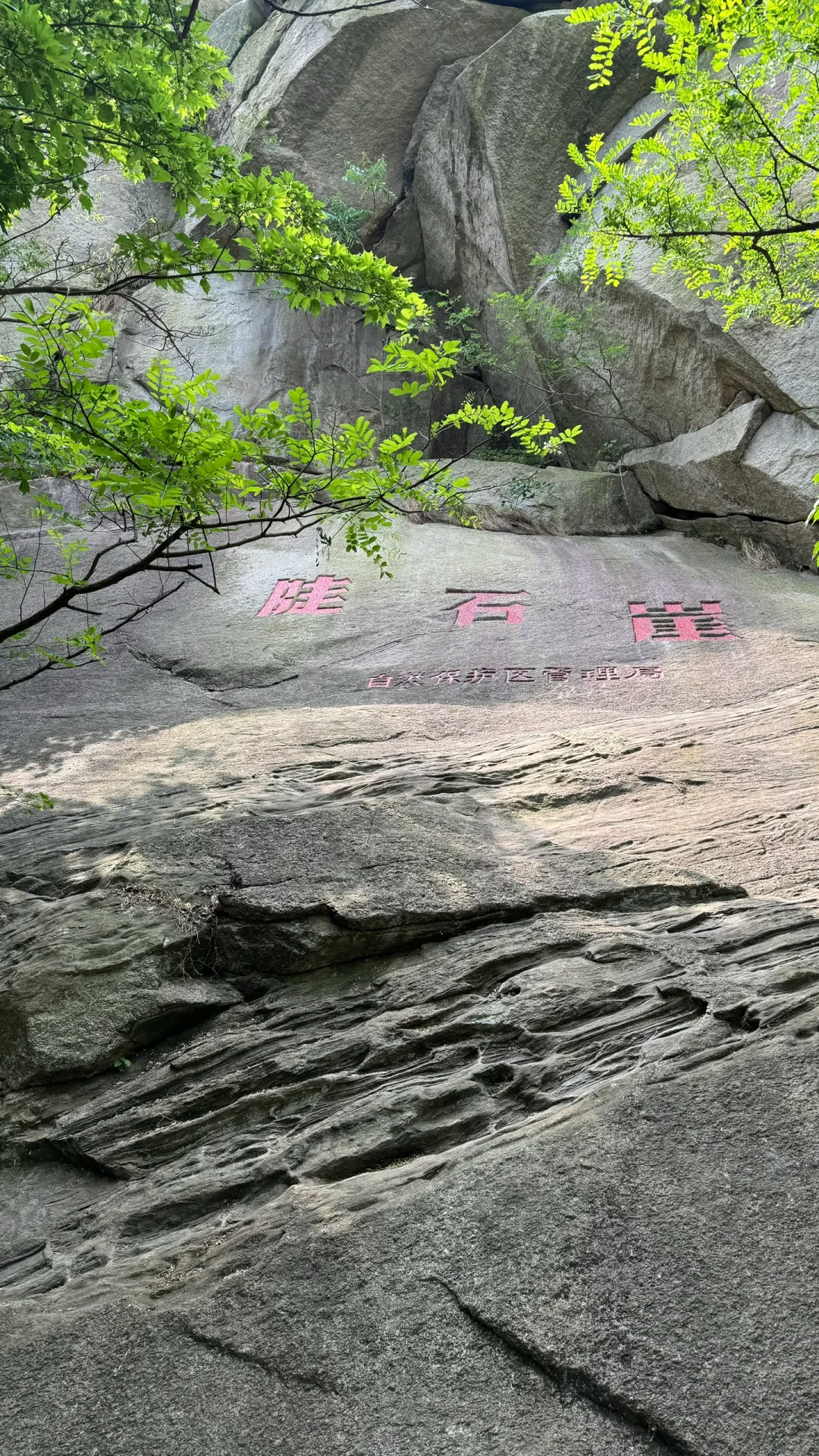 进山吸下氧😎😎