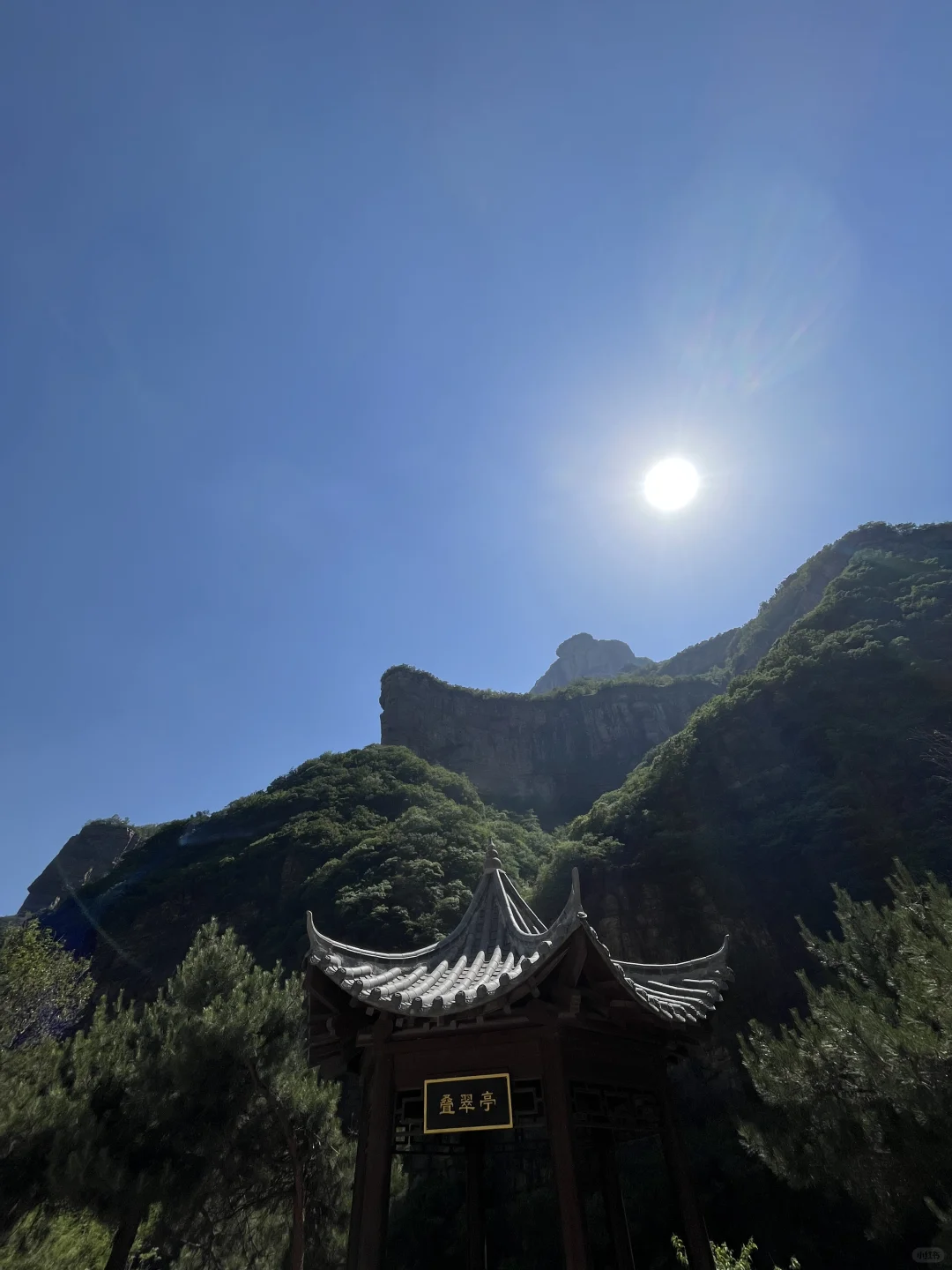 包了个山⛰️进山吸下氧