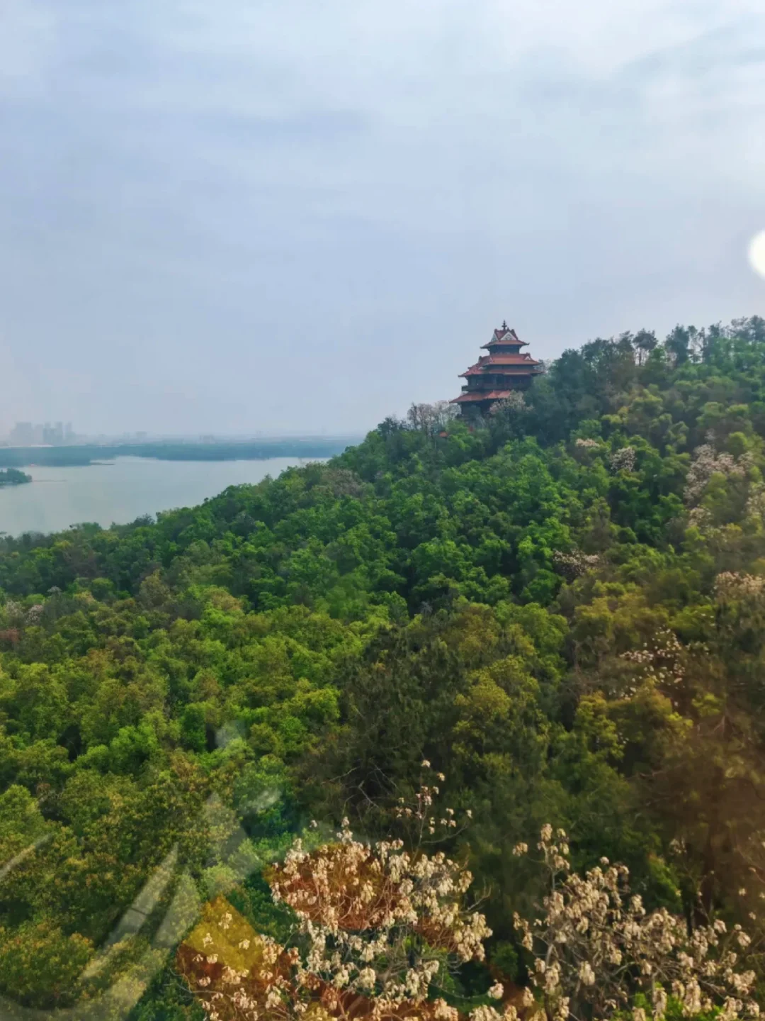 武汉东湖落雁仙境全攻略📸迷雾竹筏美出圈