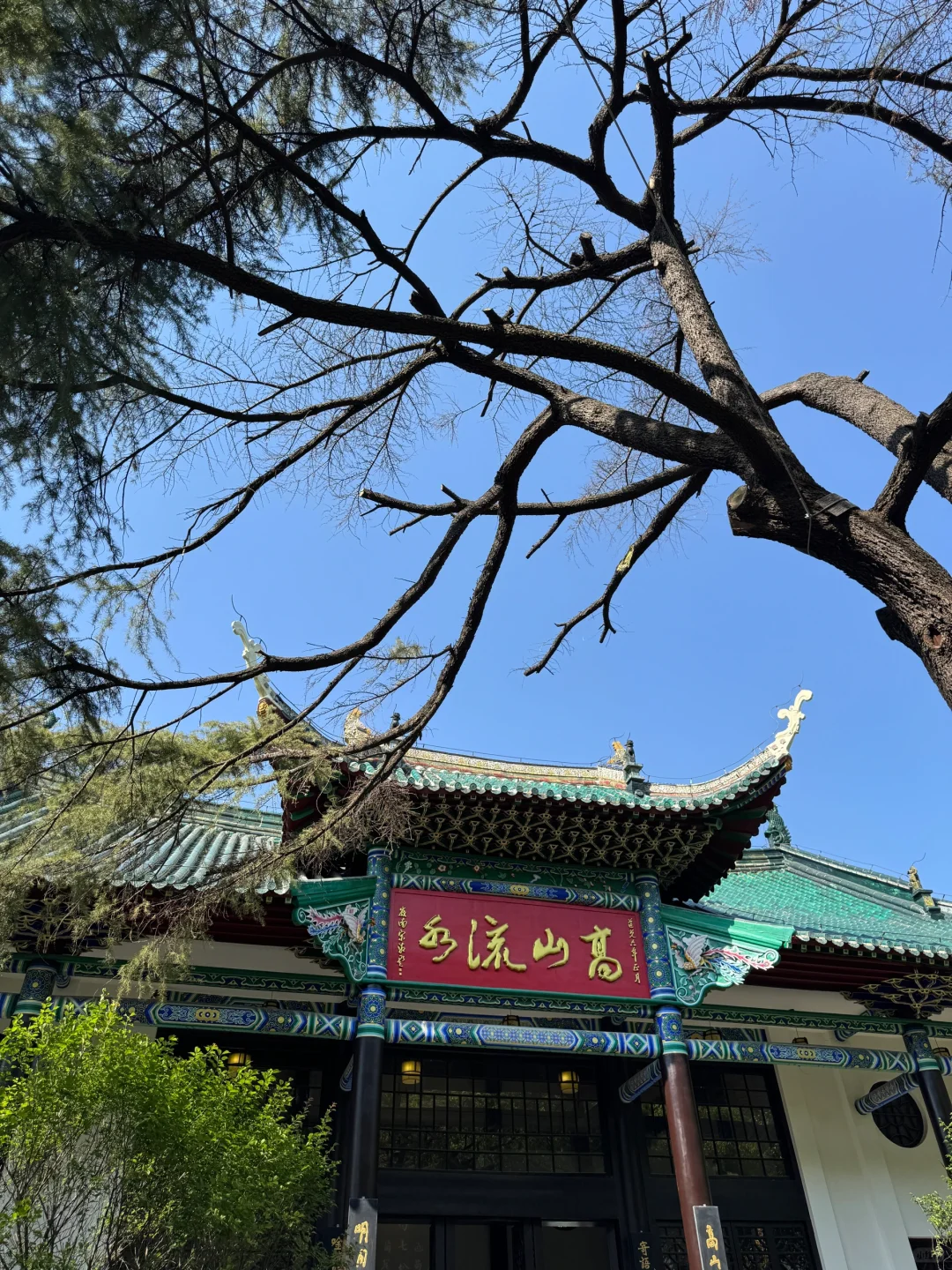 古琴台这么美，武汉人居然第一次来