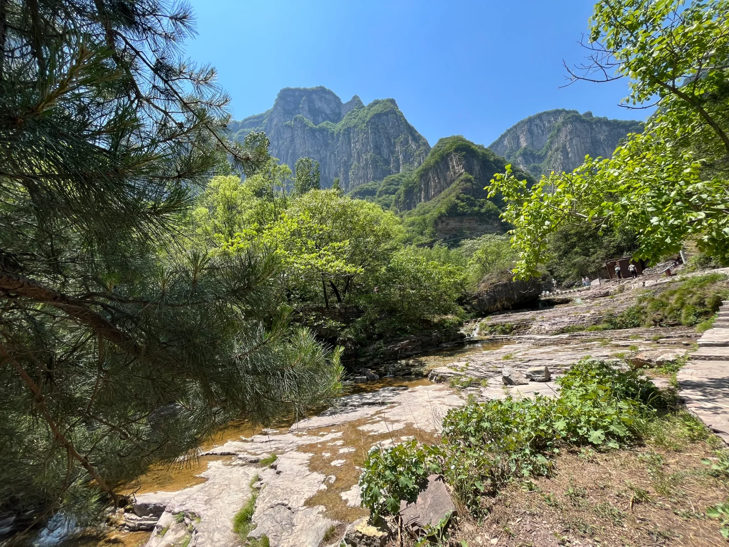 包了个山⛰️进山吸下氧