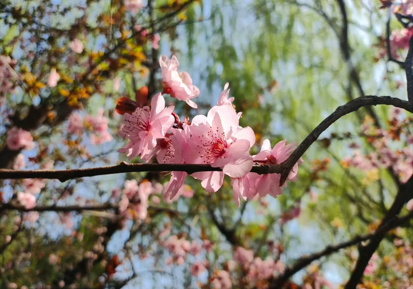济南一日游，不走回头路攻略❤️