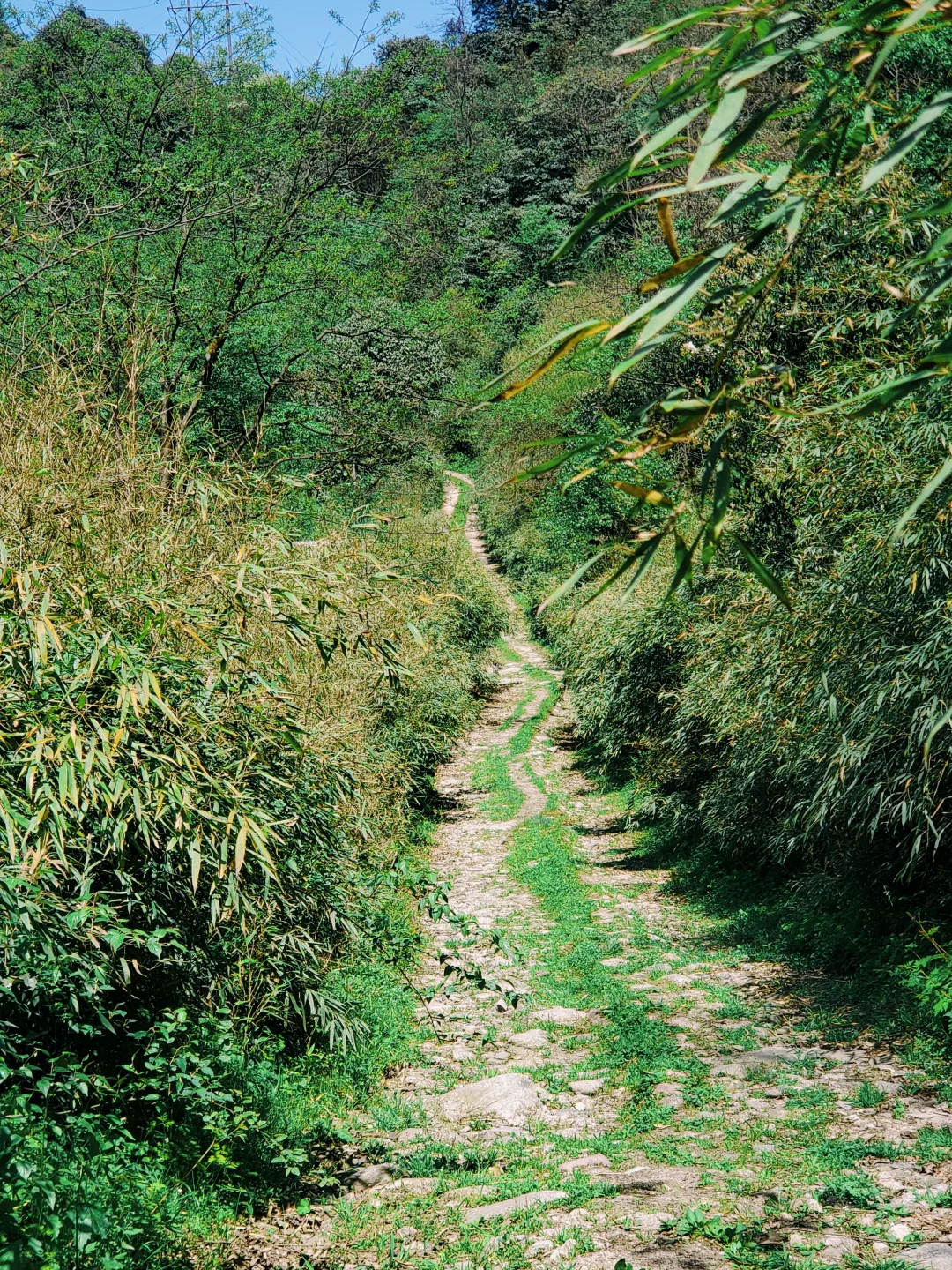 免费的绝美无人秘境，亲子友好，不输景区！