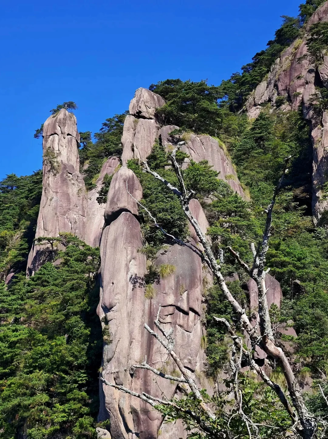 安徽九华山 | 备好这篇攻略就够了！！！