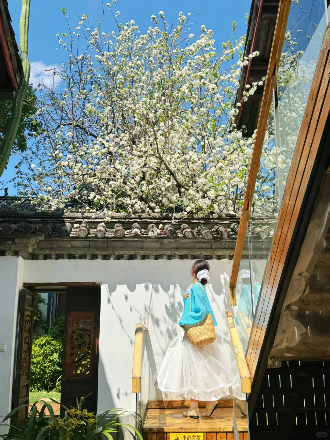 为了这18张照片！我专门飞了一趟丽江！！！