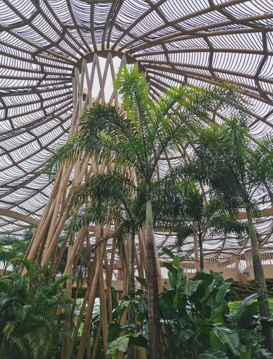 江门古劳水乡旅游攻略 | 邂逅岭南水乡的诗