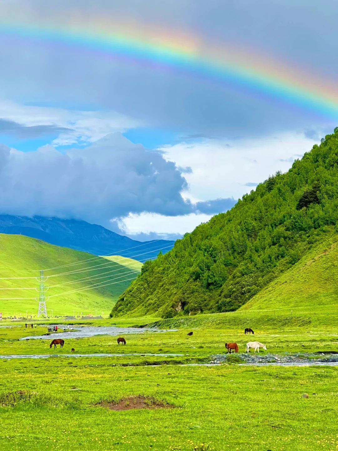 姑弄村🏕️。。。果然最漂亮的地方都是免费的！！