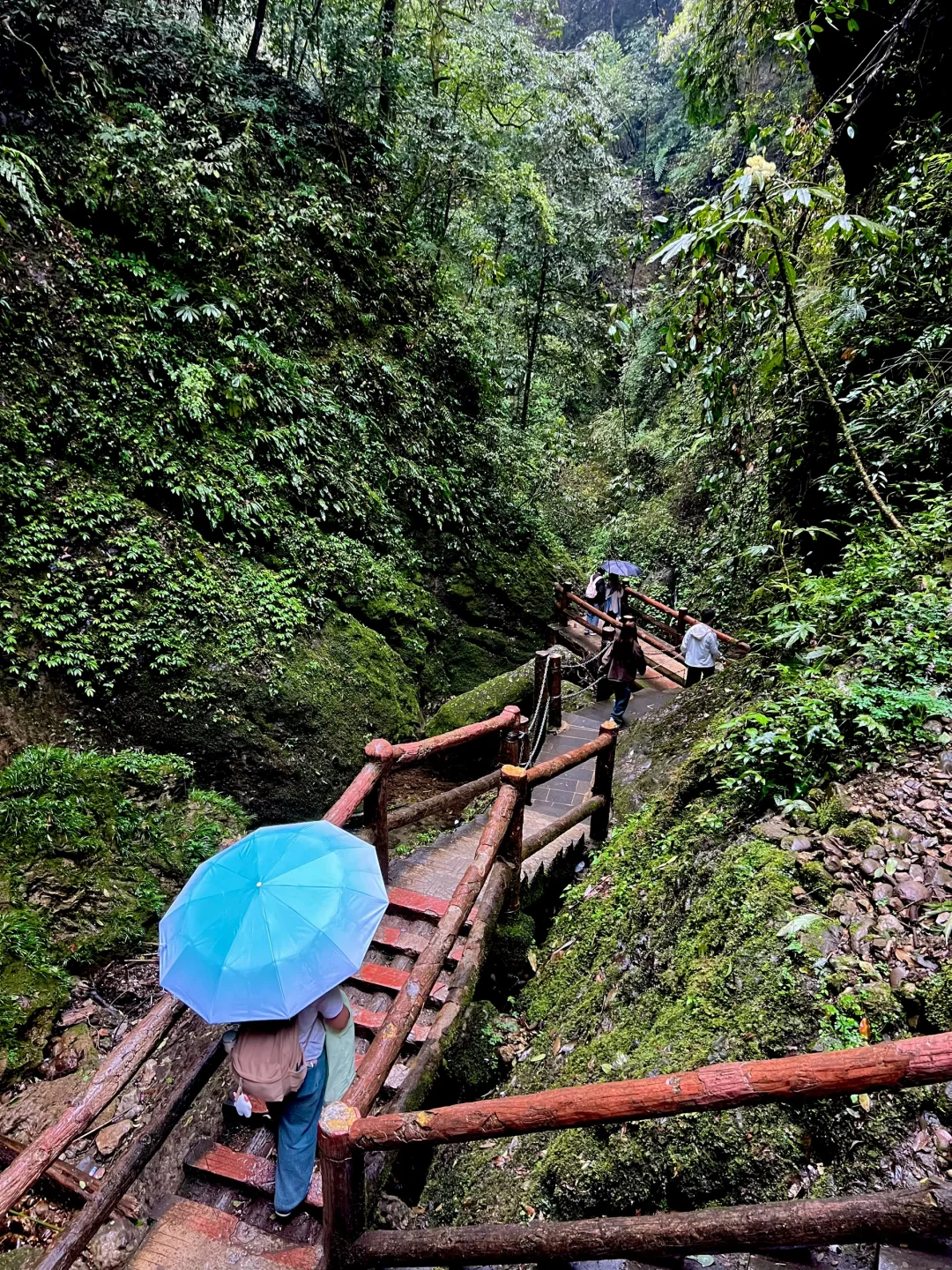 来了10次青城山才敢说的大实话