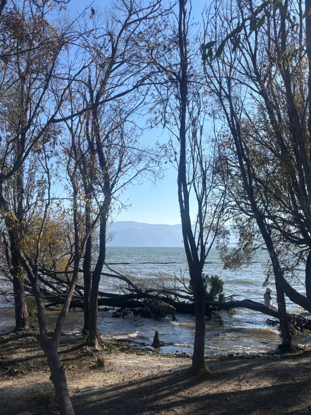 云南旅行攻略，建议4-5月淡季去，人少景美！