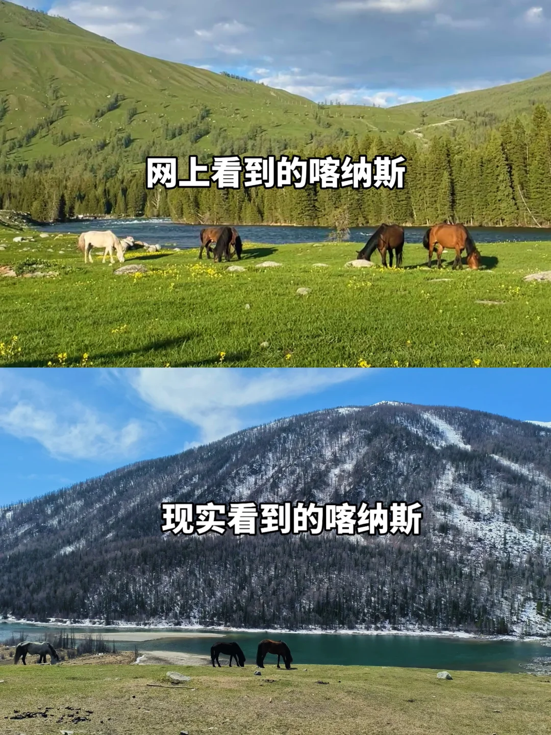 #4.27 🎈新疆已回，五一去的慎重考虑考虑