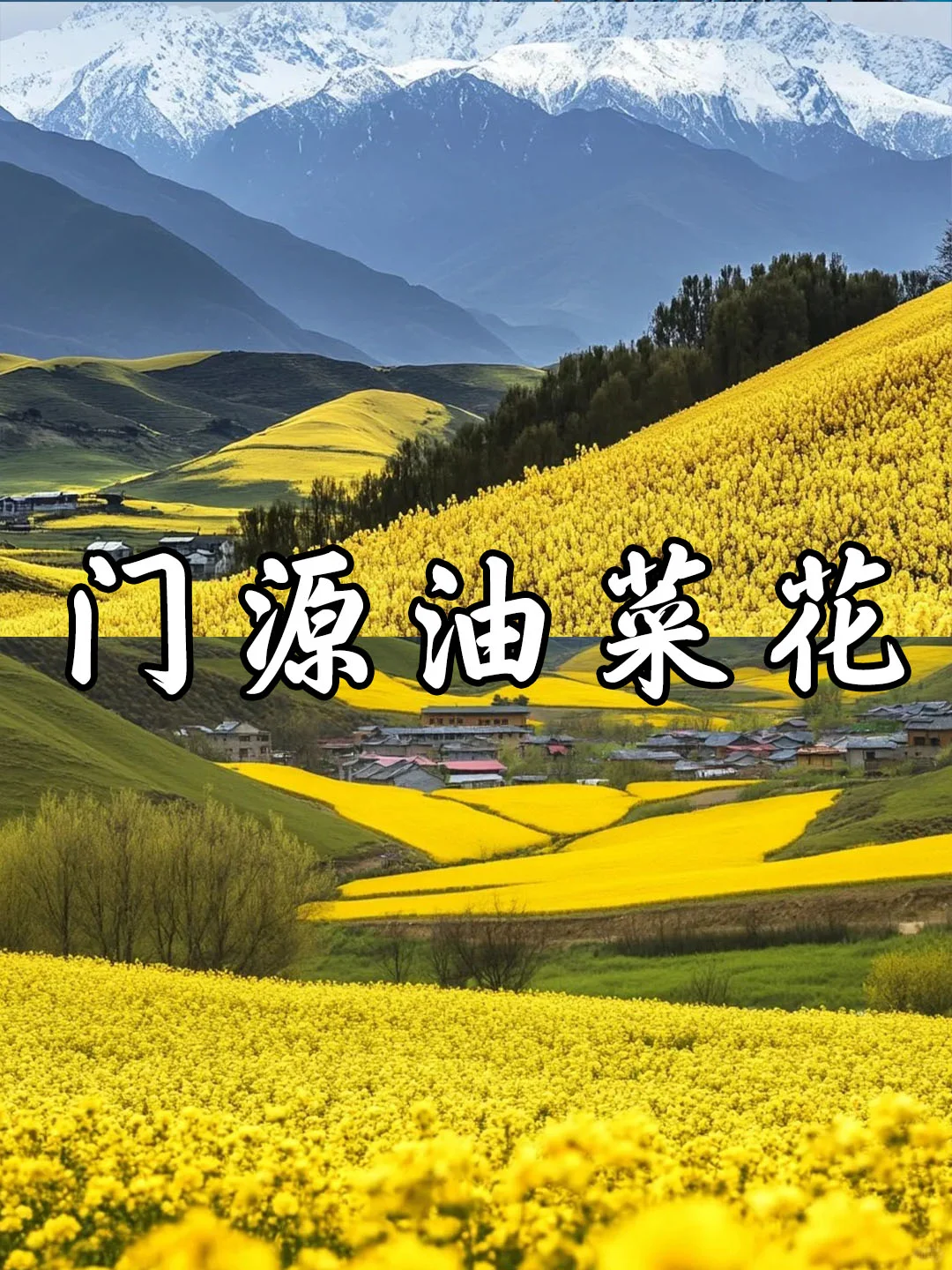 8天7晚的青海甘肃之旅，回来整理的攻略📝