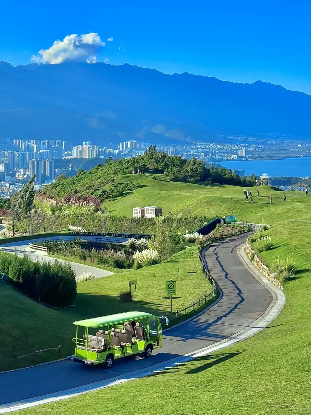 大理新西兰🌳🌳这就是live图的意义