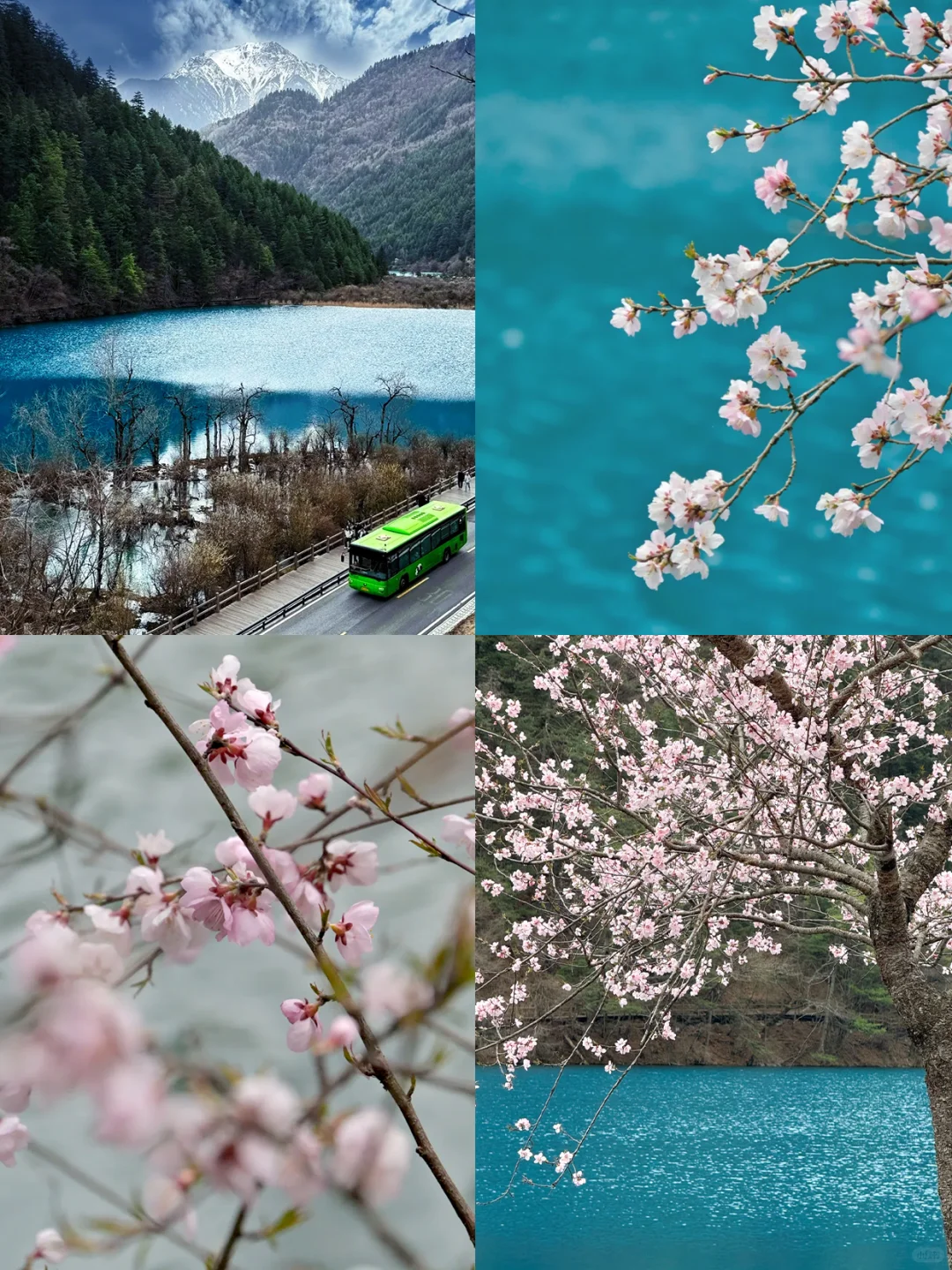 📍九寨沟已回，真心建议5-6月去，因为…