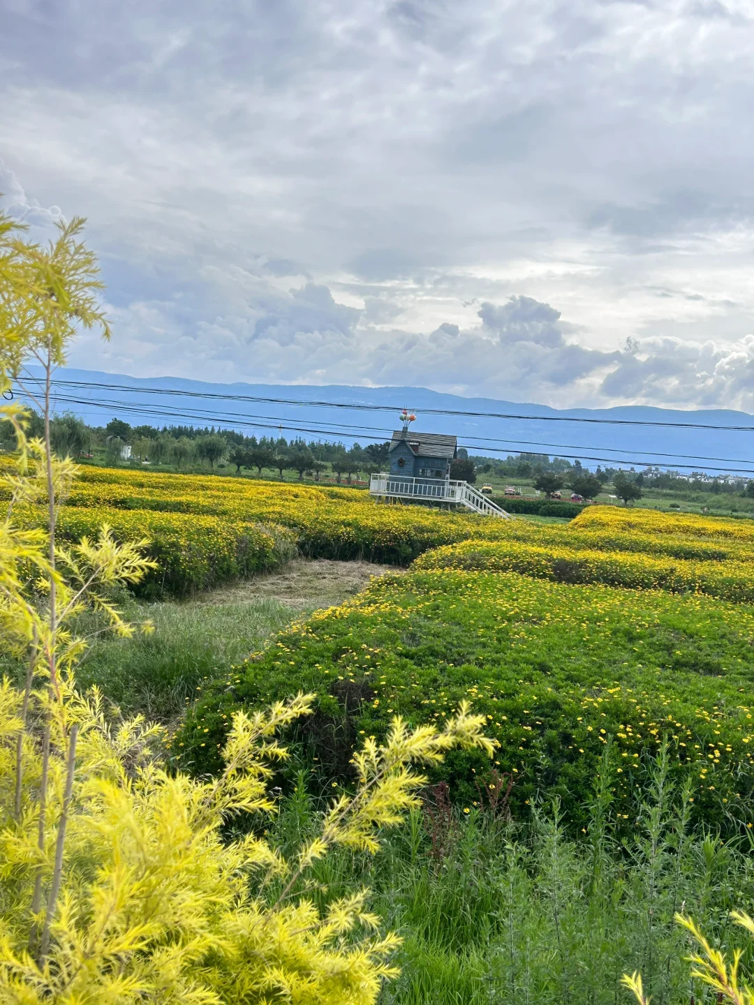云南旅行攻略，建议4-5月淡季去，人少景美！