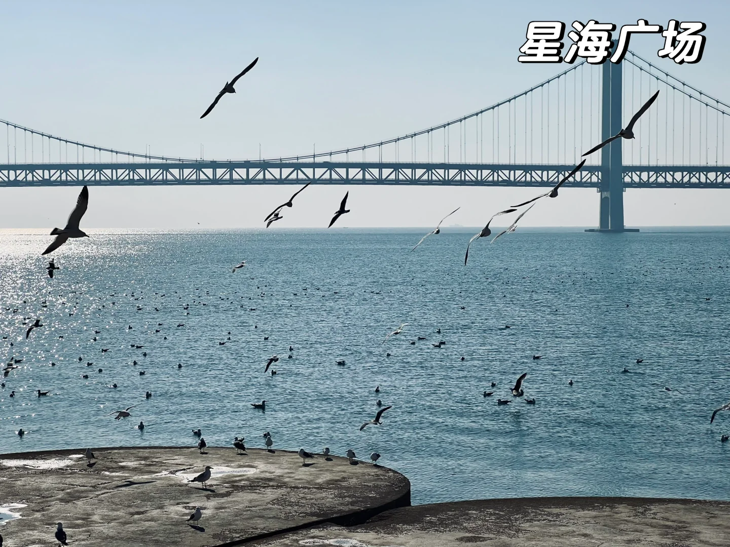 📍大连｜北京-大连 3日旅游攻略