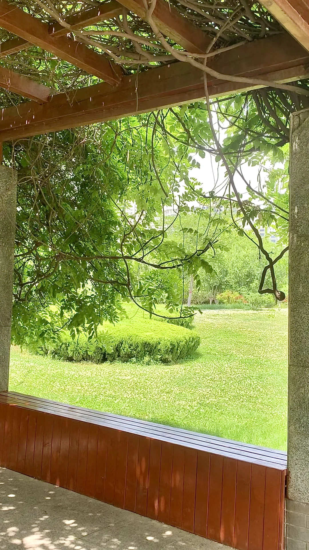 吸氧日🌳