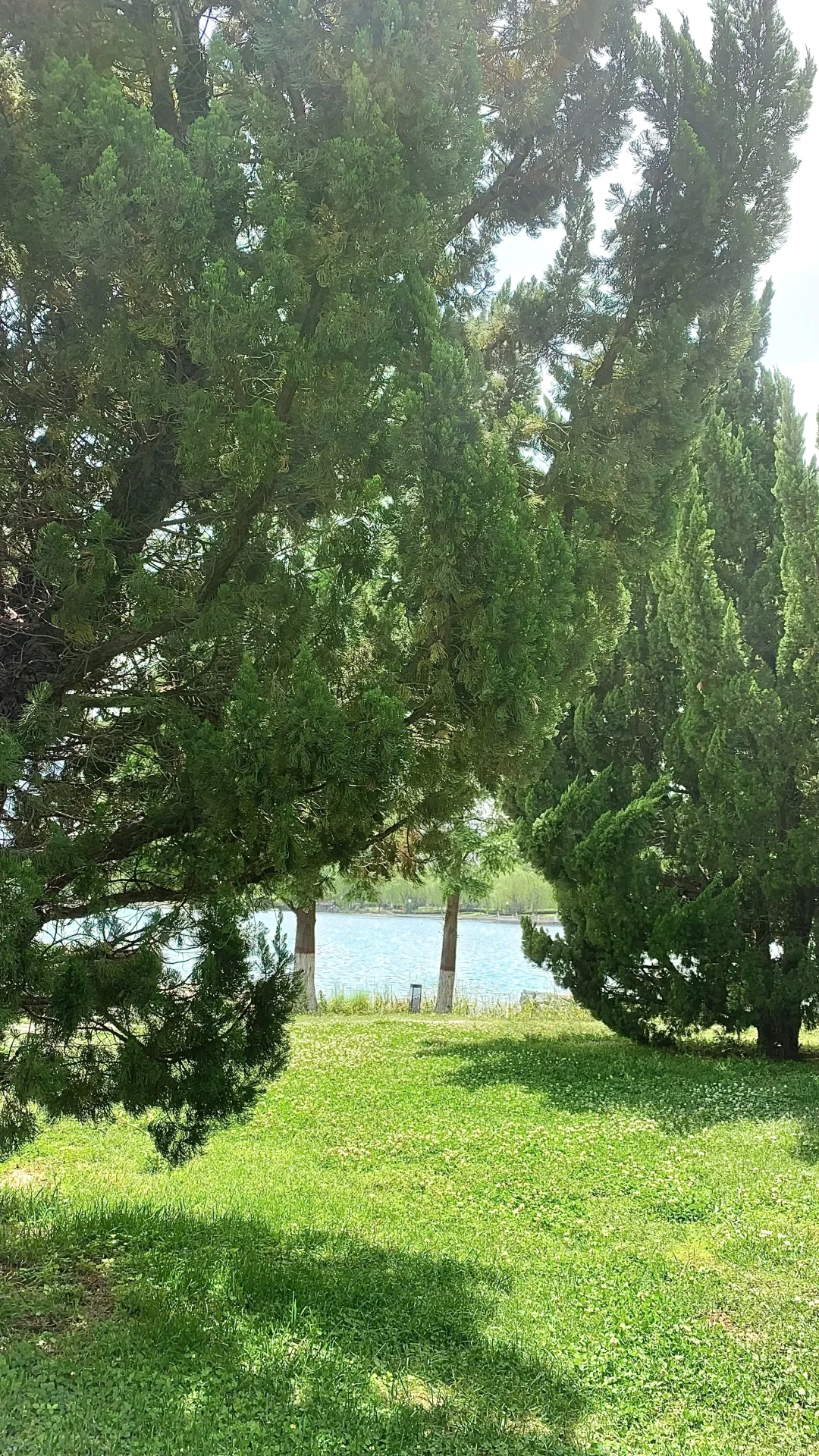吸氧日🌳