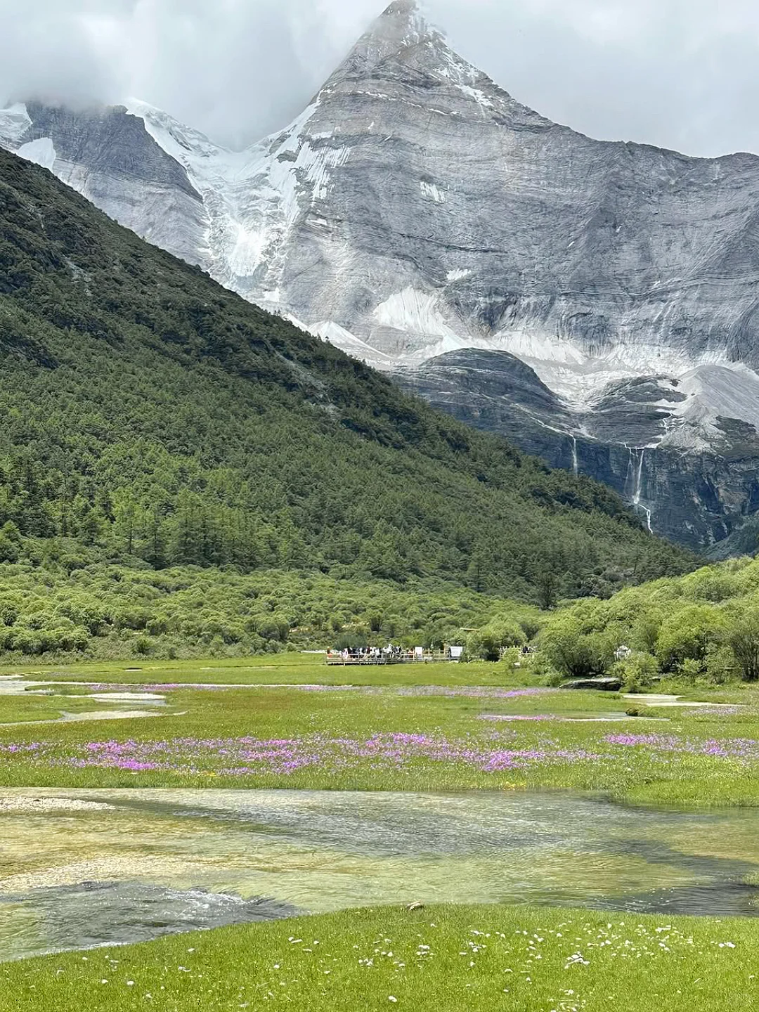 稻城亚丁🏔️的夏天美的像部电影一样🎬～