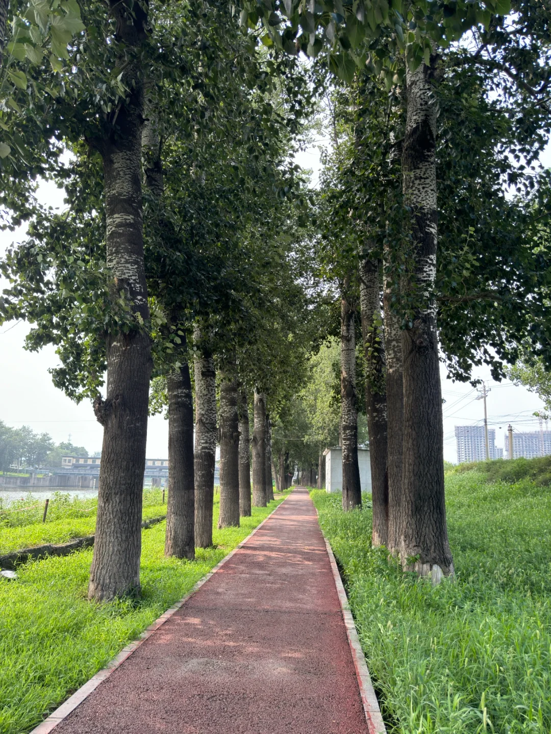 邯郸周边游，被严重低估的宝藏小城！