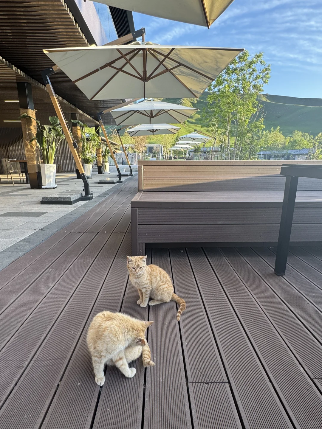 2025.05.14📍那拉提