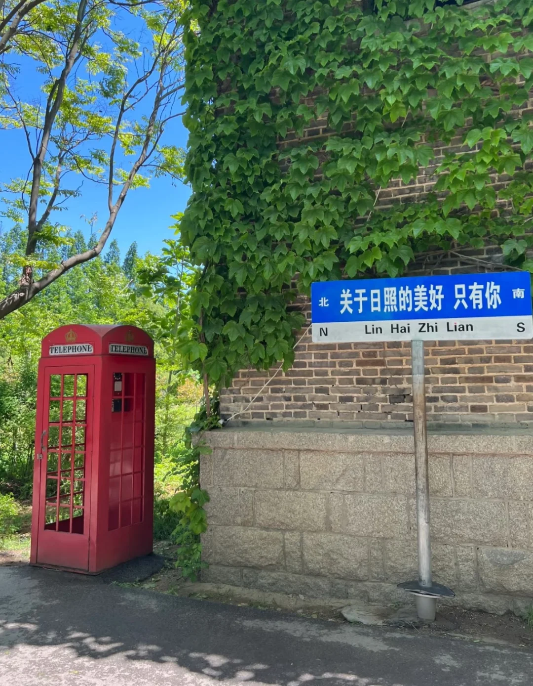 日照已回‼️能帮一个是一个……收藏备用✅