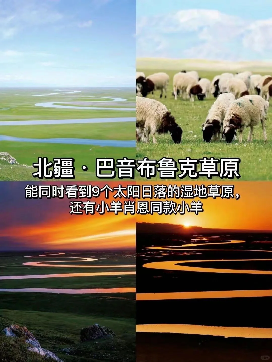 探秘北疆仙境，领略天山之巅的绝美风光！