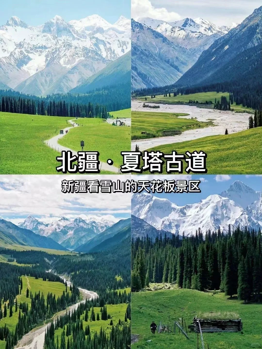 探秘北疆仙境，领略天山之巅的绝美风光！