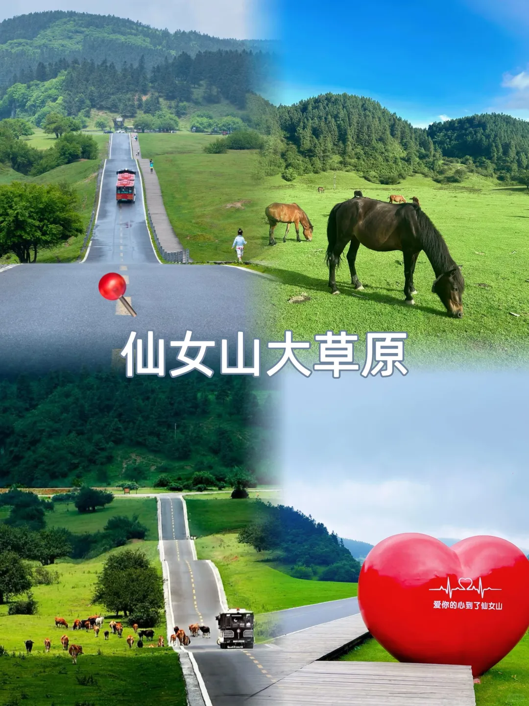 武隆游玩攻略✅天坑地缝➕仙女山（真秘境）