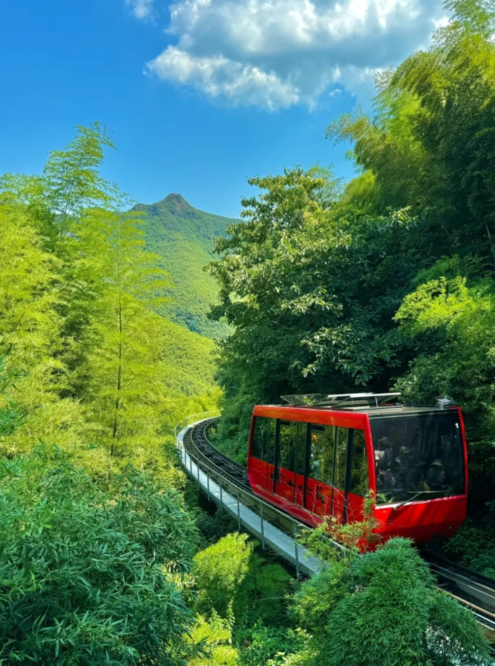 本地人总结❗南山竹海&天目湖神仙旅行攻略
