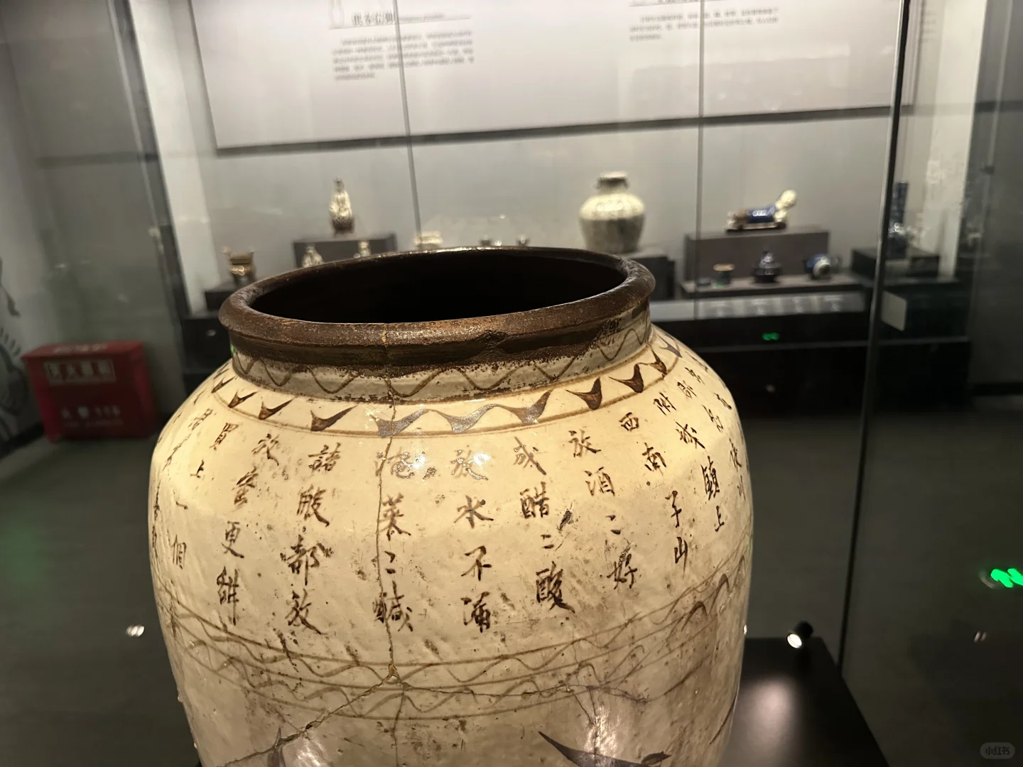 邯郸你真的很可爱