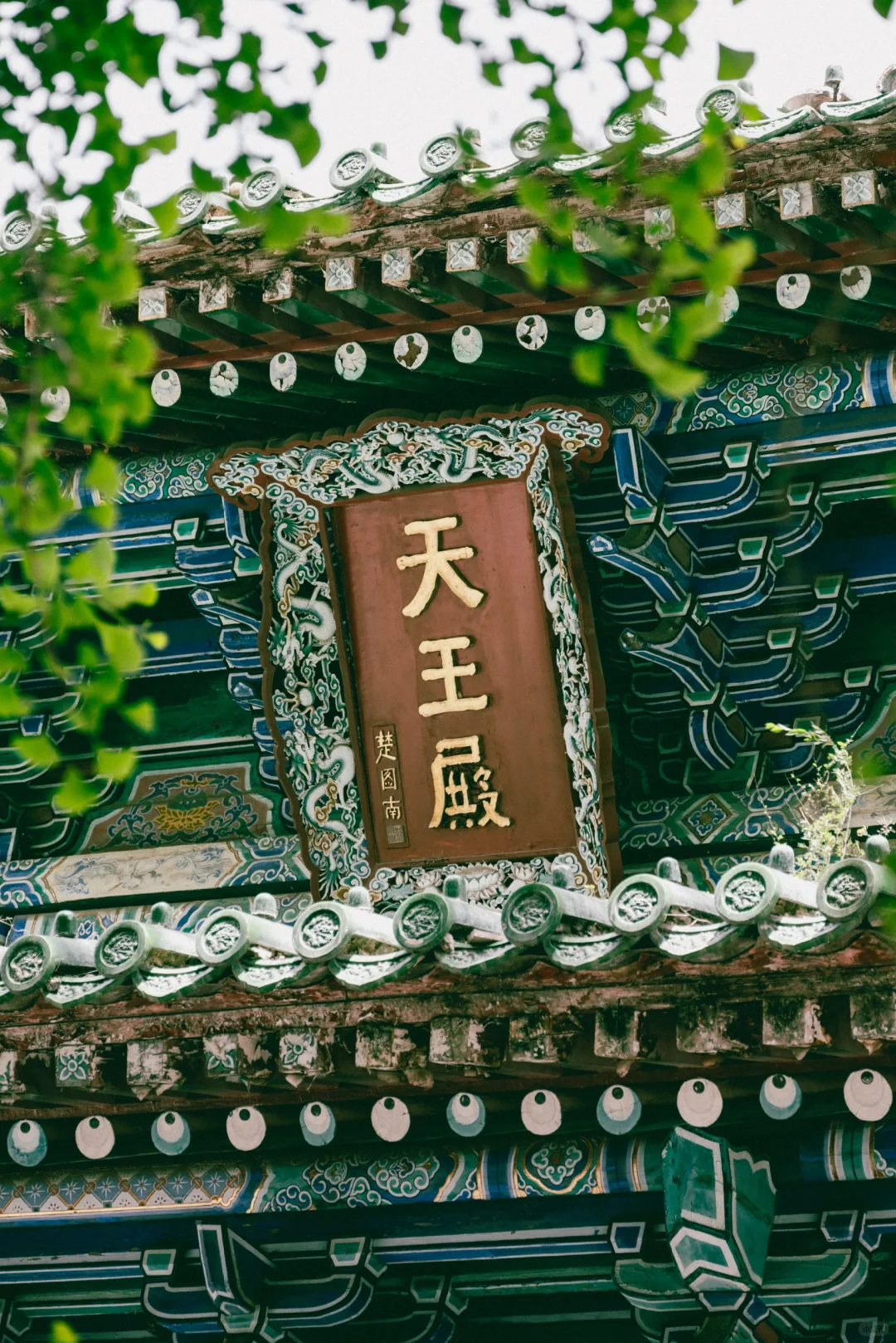 镜头里的世界