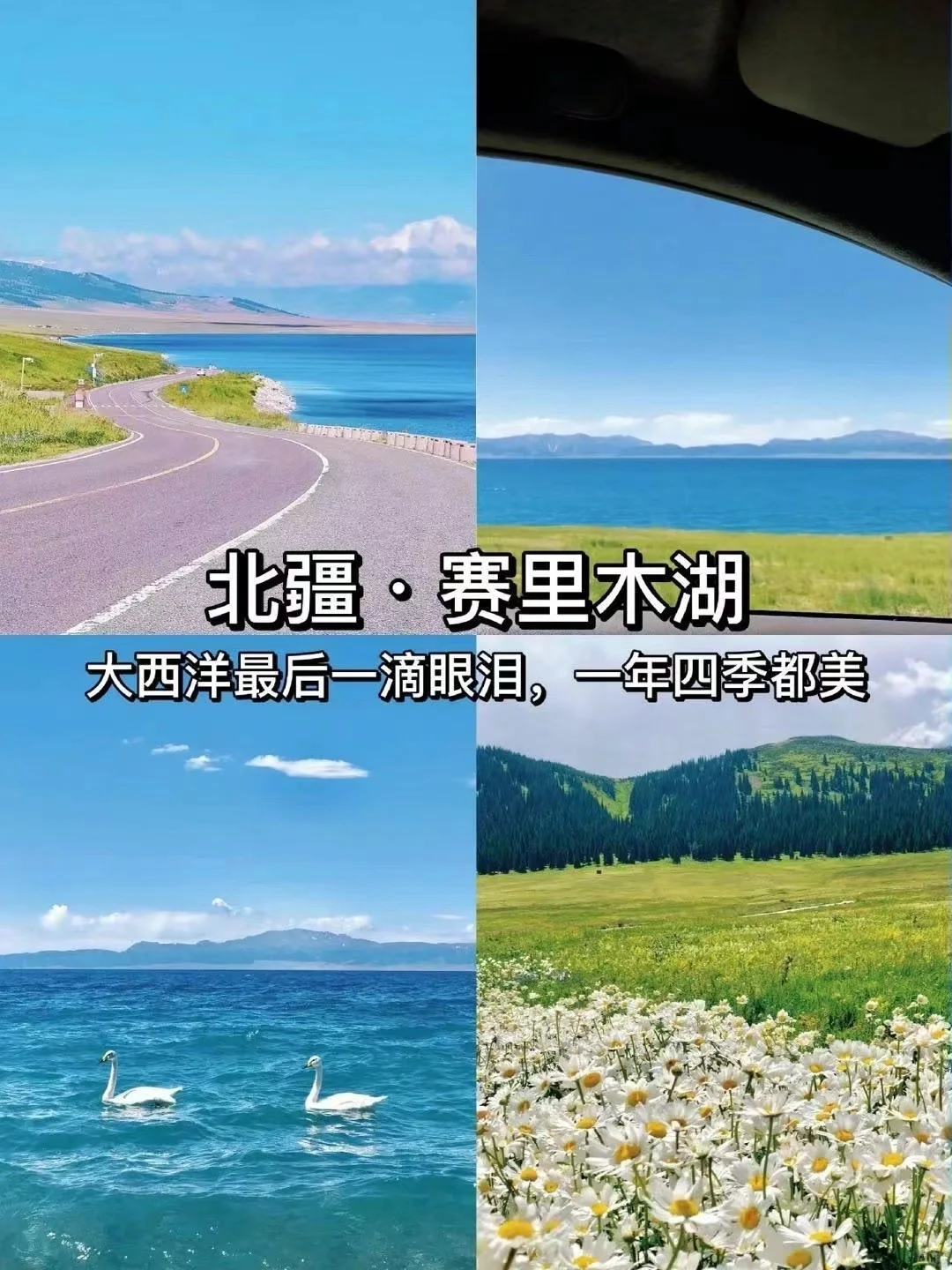 探秘北疆仙境，领略天山之巅的绝美风光！