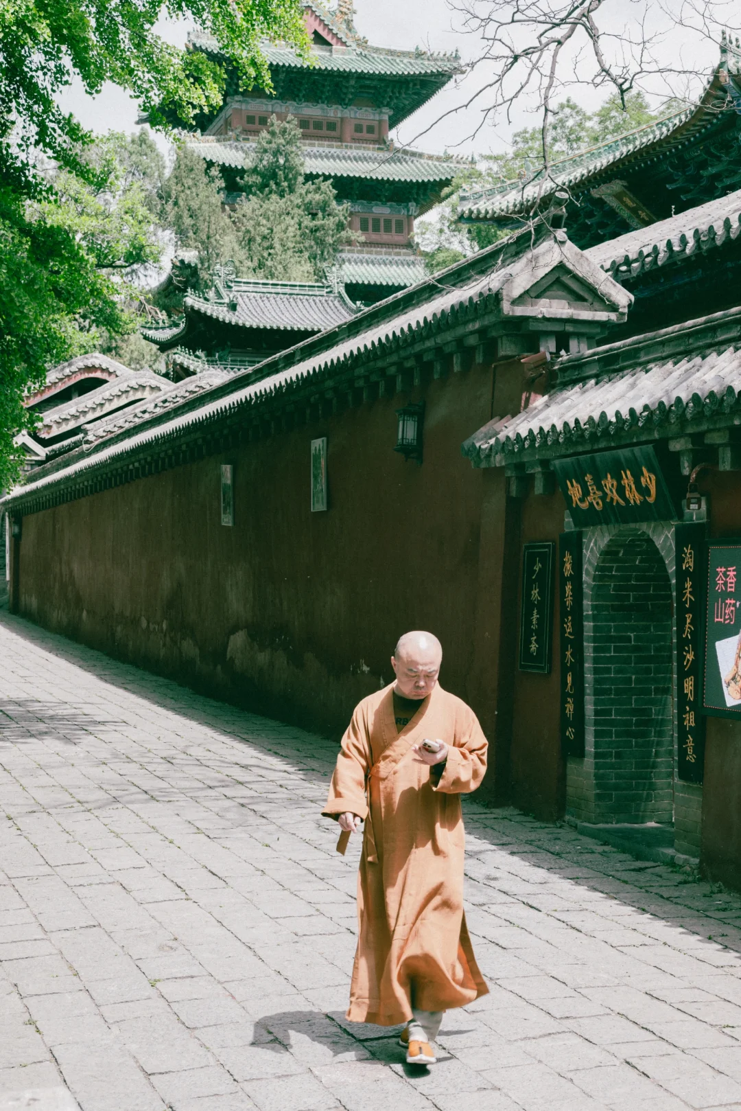 镜头里的世界