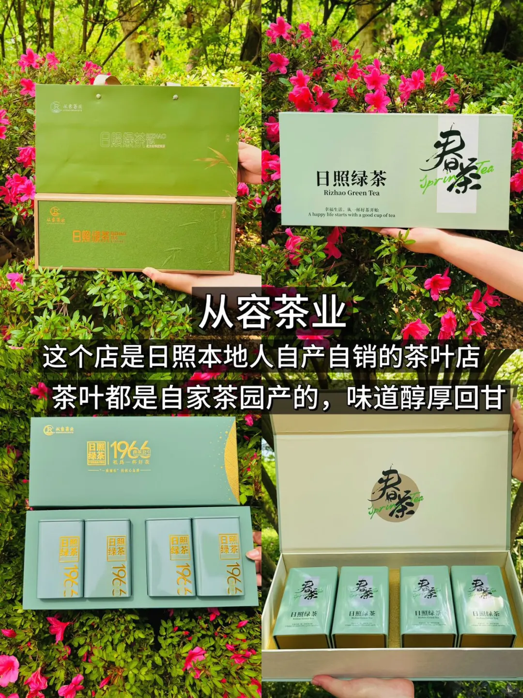5-6🈷️想去日照的宝宝们看这篇就够啦‼