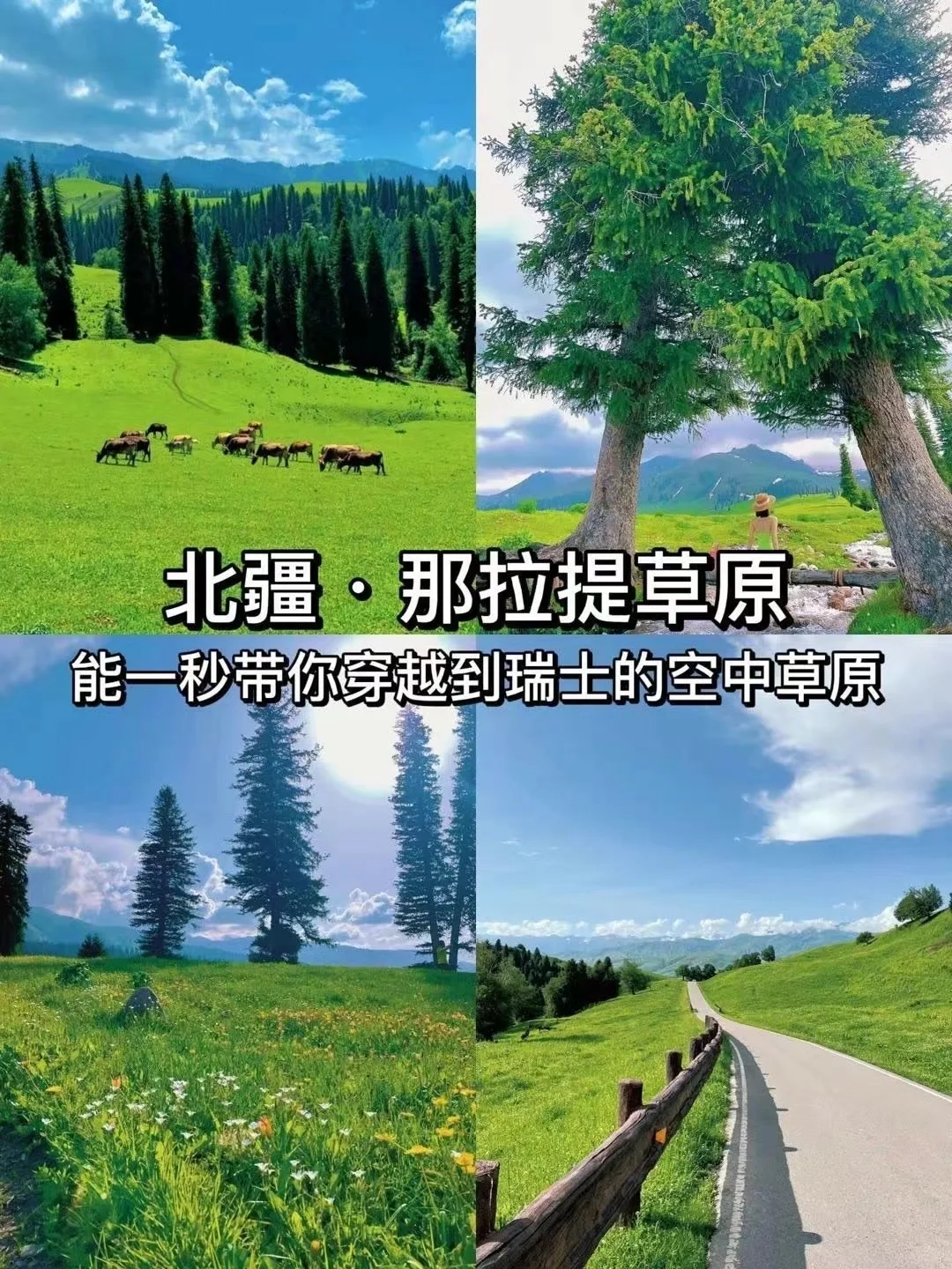 探秘北疆仙境，领略天山之巅的绝美风光！