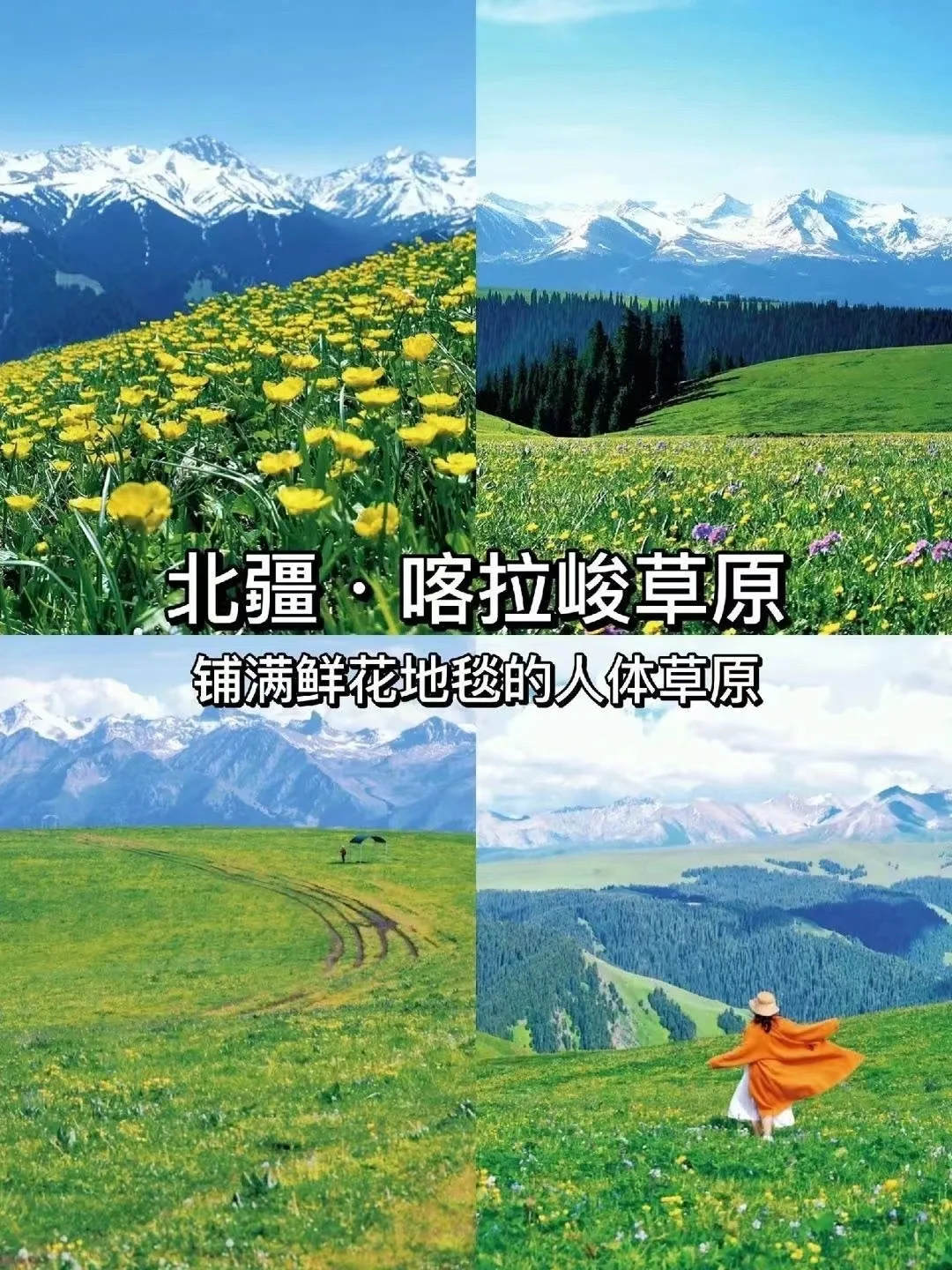 探秘北疆仙境，领略天山之巅的绝美风光！