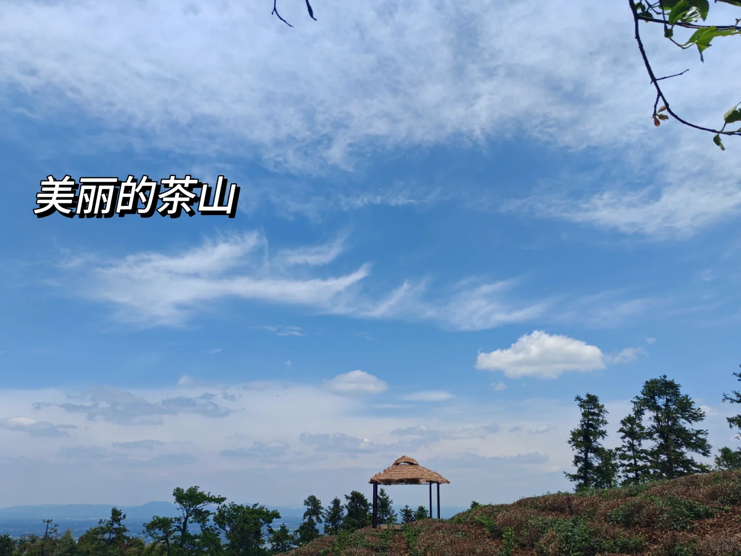 🌿每月两山之城山古道·被遗忘的千年茶径