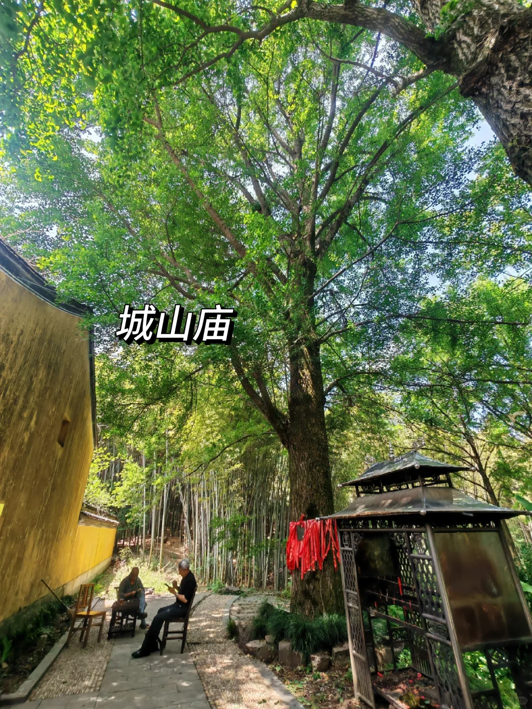 🌿每月两山之城山古道·被遗忘的千年茶径