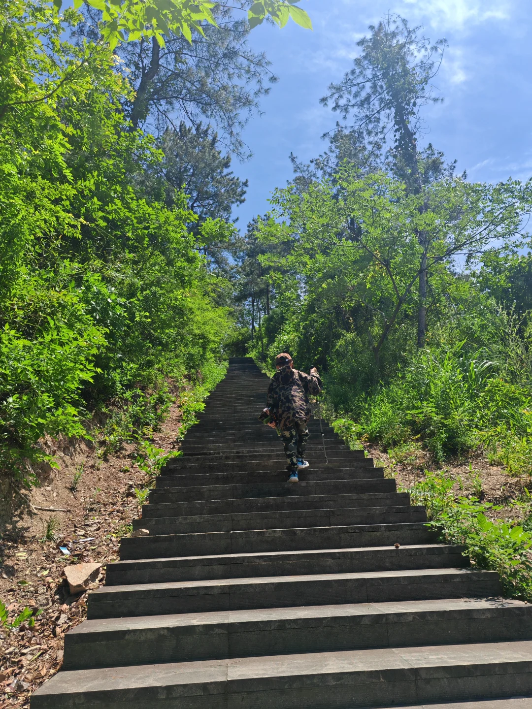 🌿每月两山之城山古道·被遗忘的千年茶径