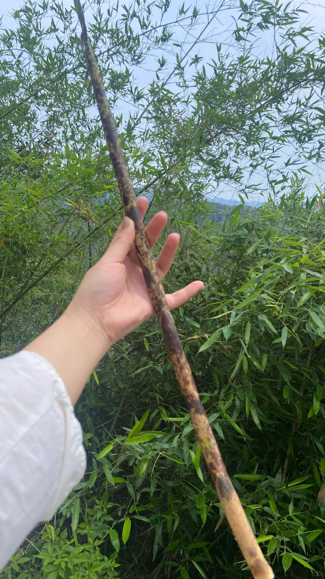 广东韶关丹霞山景区你最喜欢哪个景位？