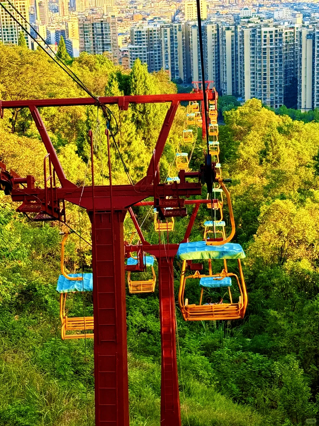 景区引流新密码！低空缆车厂家揭秘爆火真相