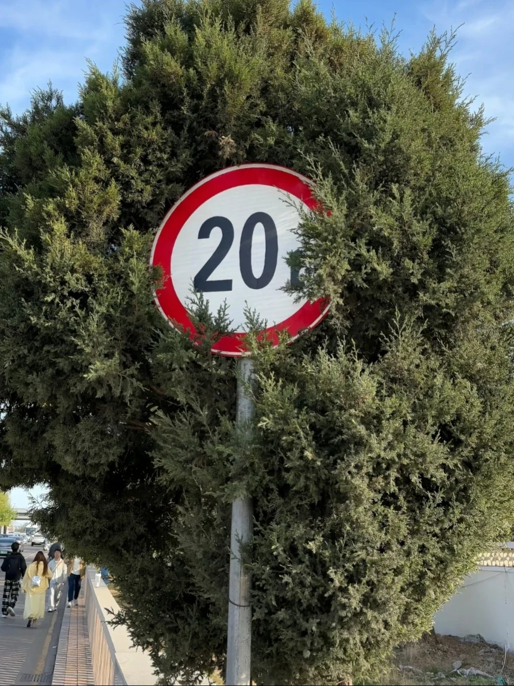 📍给端午要去秦皇岛的姐妹们的建议