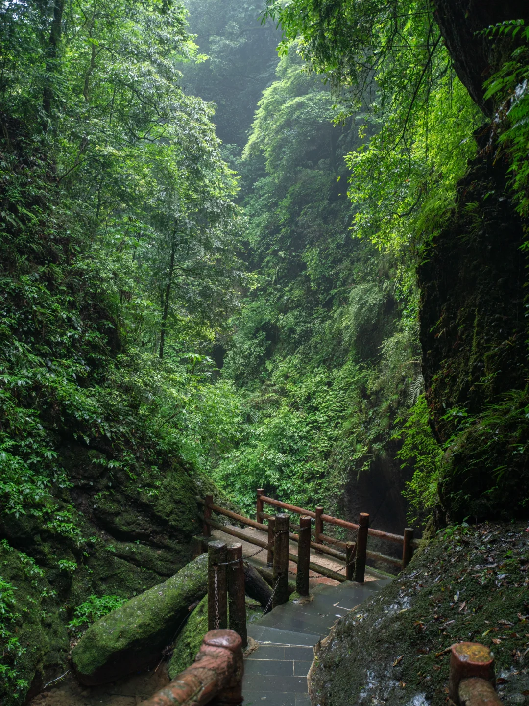 真不是游戏场景，我找到了现实版仙侠世界🌲