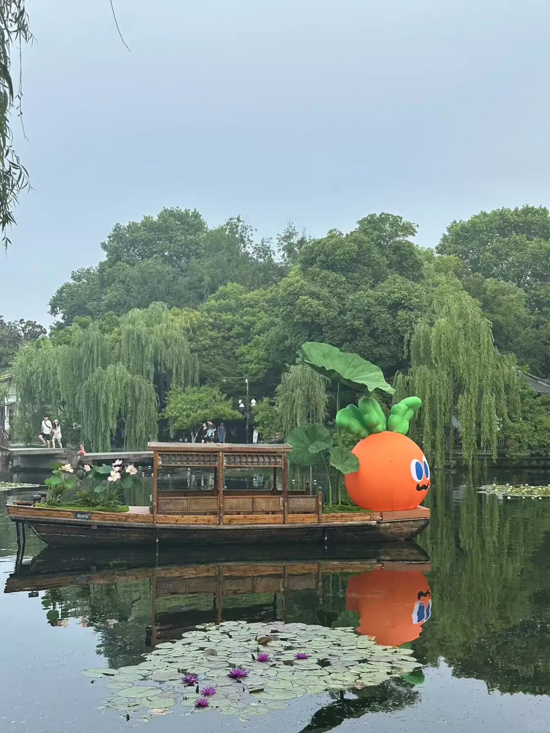 湖萝卜生啦