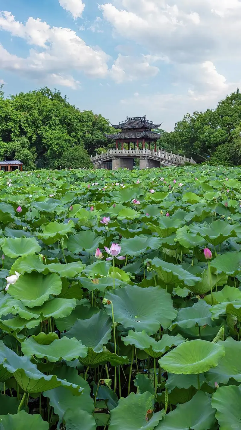杭州西湖