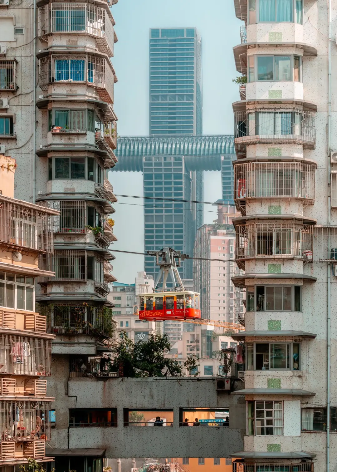 山城的浪漫永不停歇🌹