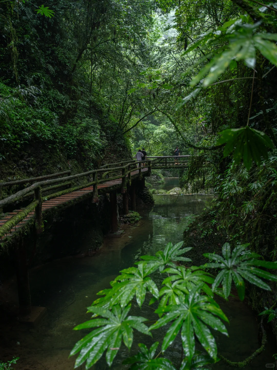 真不是游戏场景，我找到了现实版仙侠世界🌲