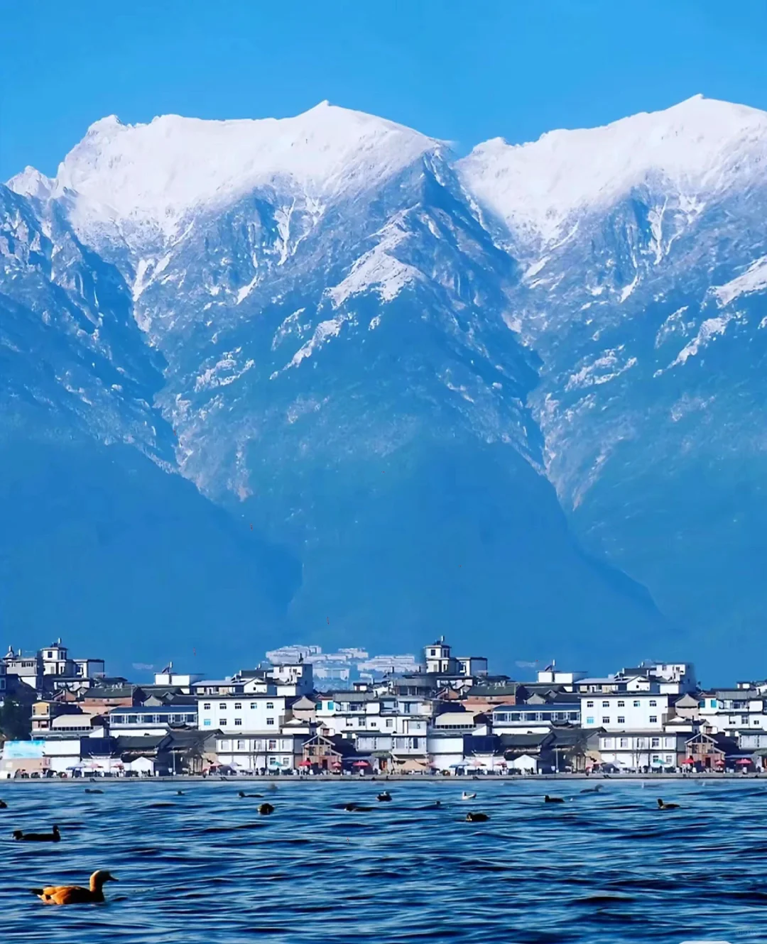 大理海畔梦幻之旅 | 超全旅游攻略✨