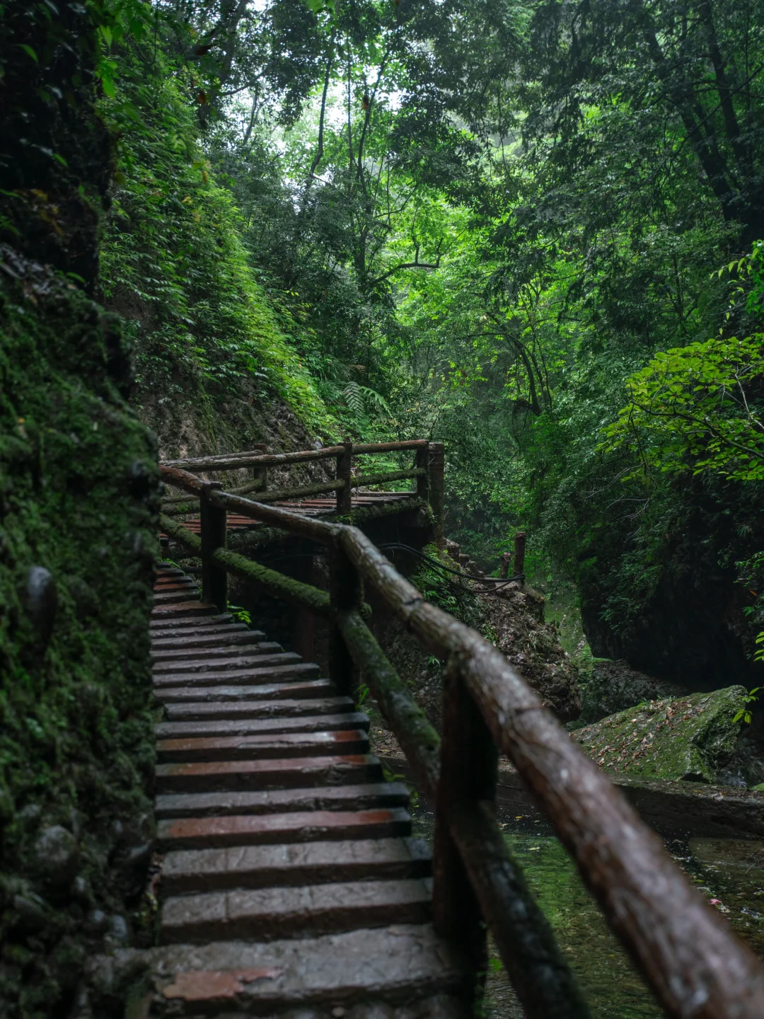 真不是游戏场景，我找到了现实版仙侠世界🌲